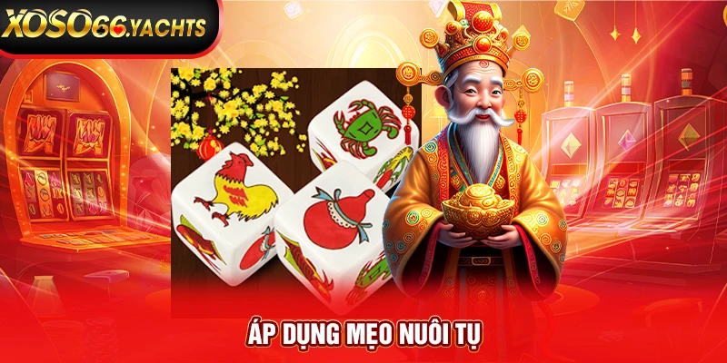 Áp dụng mẹo nuôi tụ