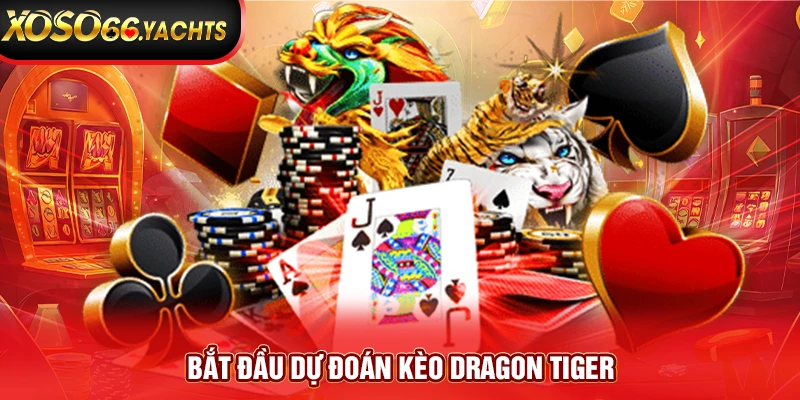 Bắt đầu dự đoán kèo Dragon Tiger