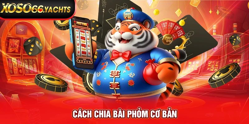 Cách chia bài phỏm cơ bản