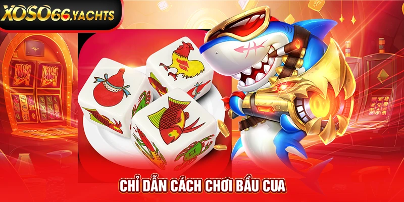 Chỉ dẫn cách chơi bầu cua