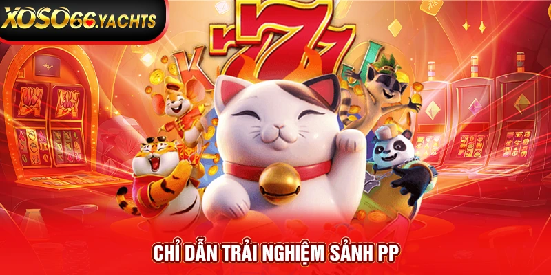 Chỉ dẫn trải nghiệm sảnh PP